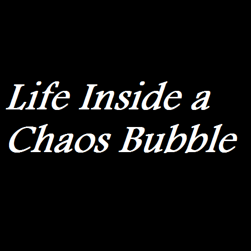 Life Inside a Chaos Bubble - Bennis Inc